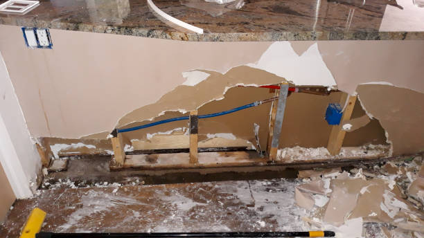 Best Professional water damage repair  in Tunkhannock, PA