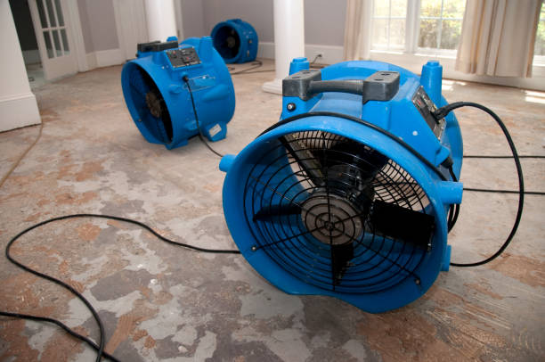 Best 24/7 water damage repair  in Tunkhannock, PA