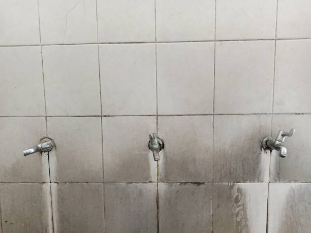 Best Water damage cleanup near me  in Tunkhannock, PA